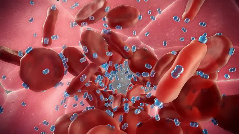 hyperbaric cells
